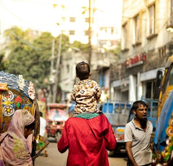 market dynamics analysis report