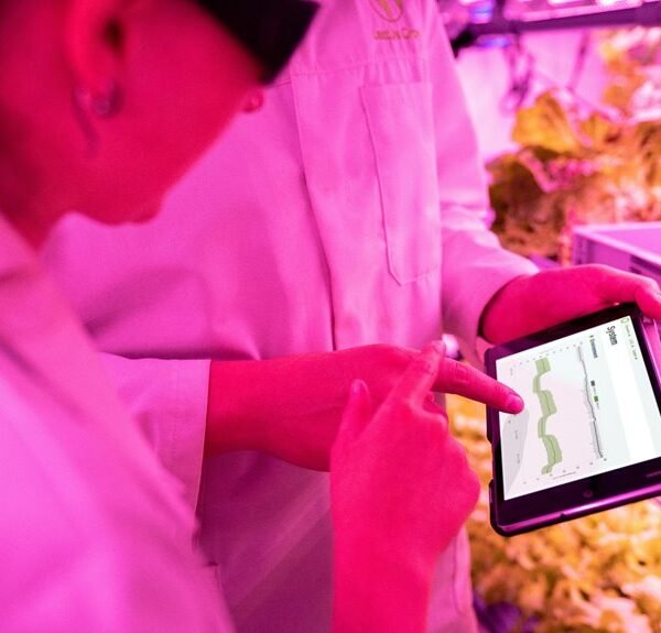 digital growth optimization tools