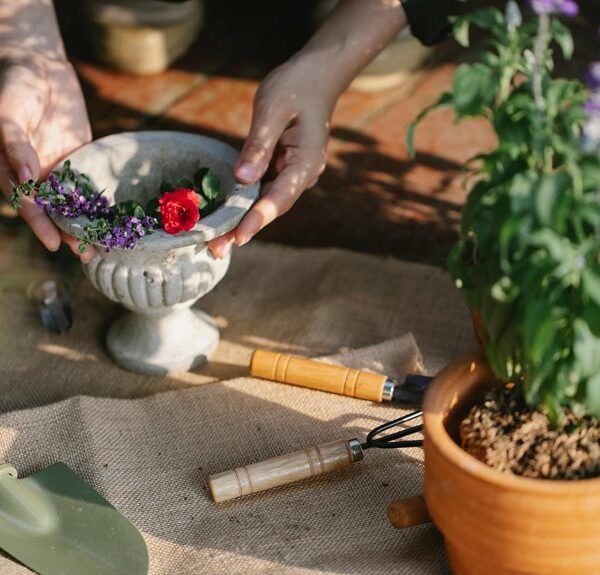 maximize digital growth tools