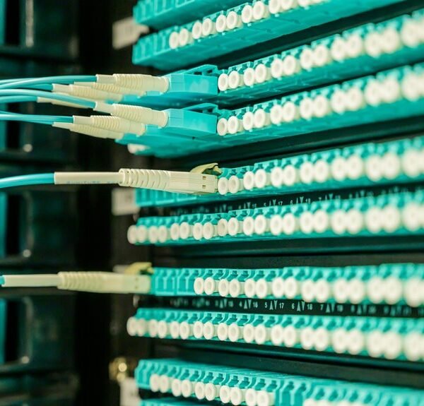 internet network for growth