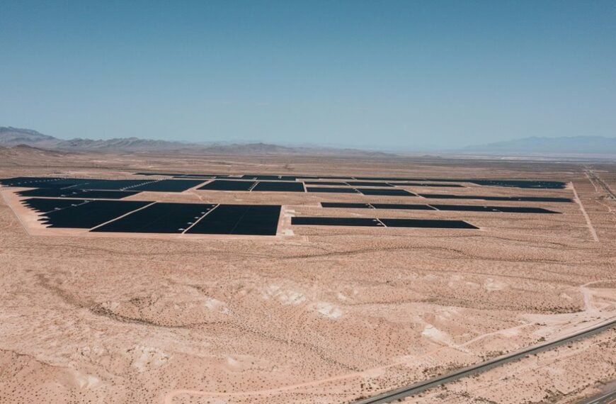 smart digital expansion strategy