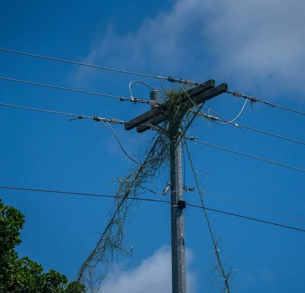 smart infrastructure for growth