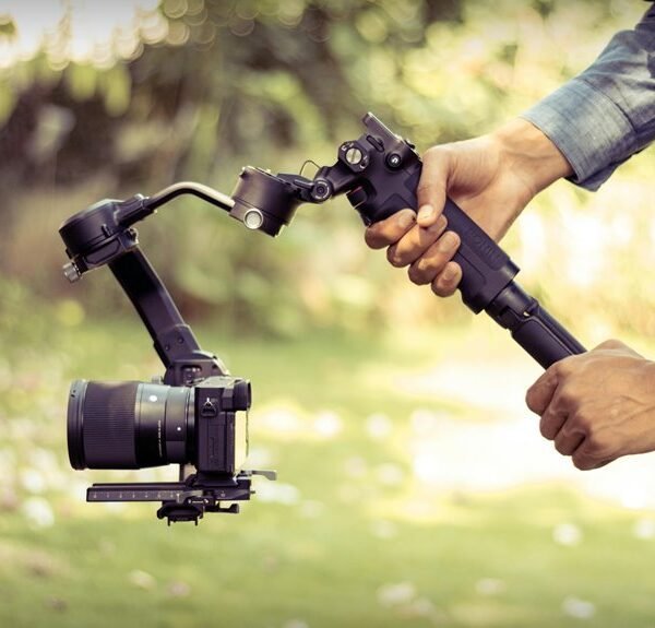 stability in professional framework