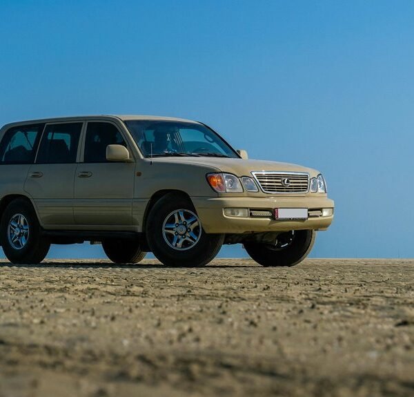 stable online model 923999110