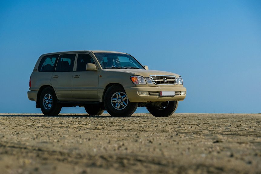 stable online model 923999110